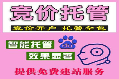 百度竞价赚钱攻略：实战案例分享